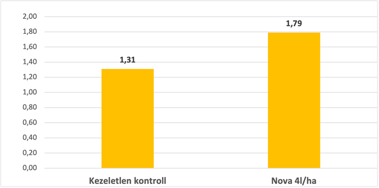 napraforgó