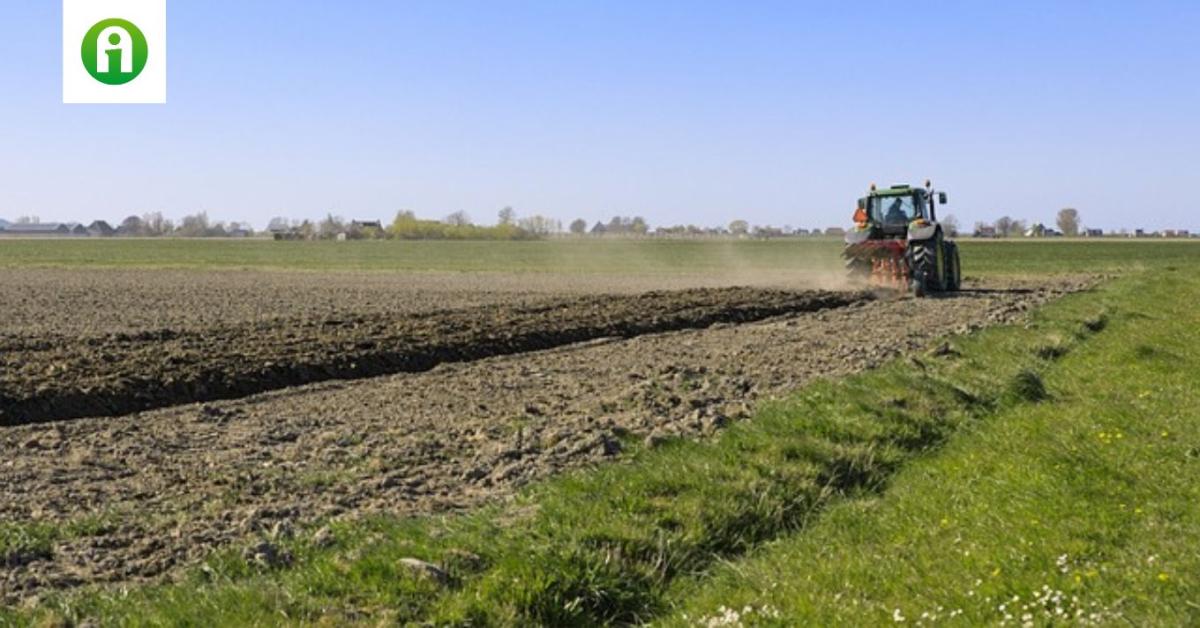 Mit kell tudni az adósság miatti termőföld árverésekről? 