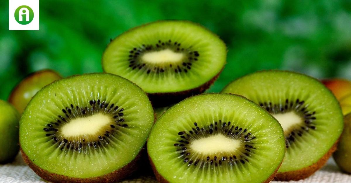 A kivi nemcsak finom, de az egészségünkre is fantasztikus hatással van