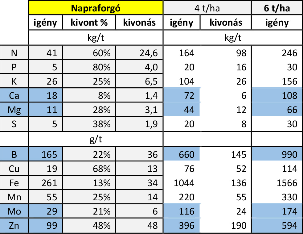 napraforgó