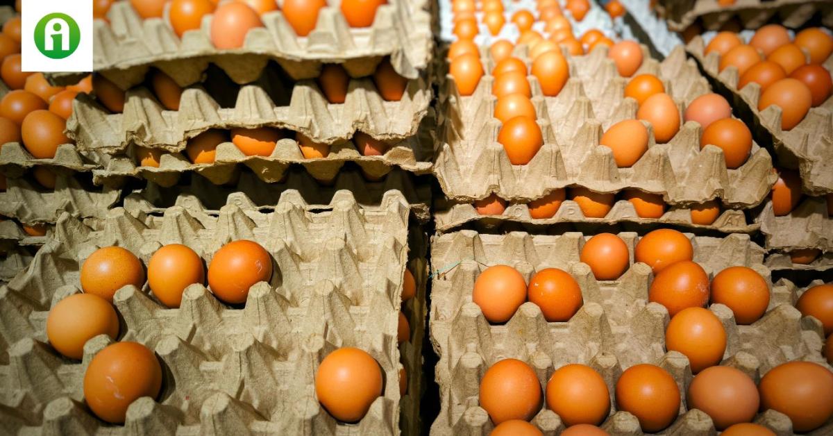 El tudod képzelni? Már a tojást is lopják, olyan drága El tudod képzelni? Már a tojást is lopják, olyan drága