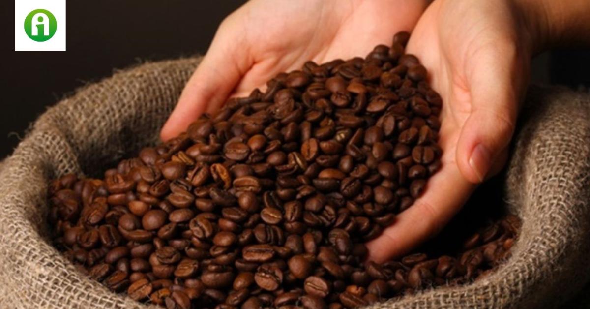 Aranyárban lesz a reggeli kávénk? Aranyárban lesz a reggeli kávénk?