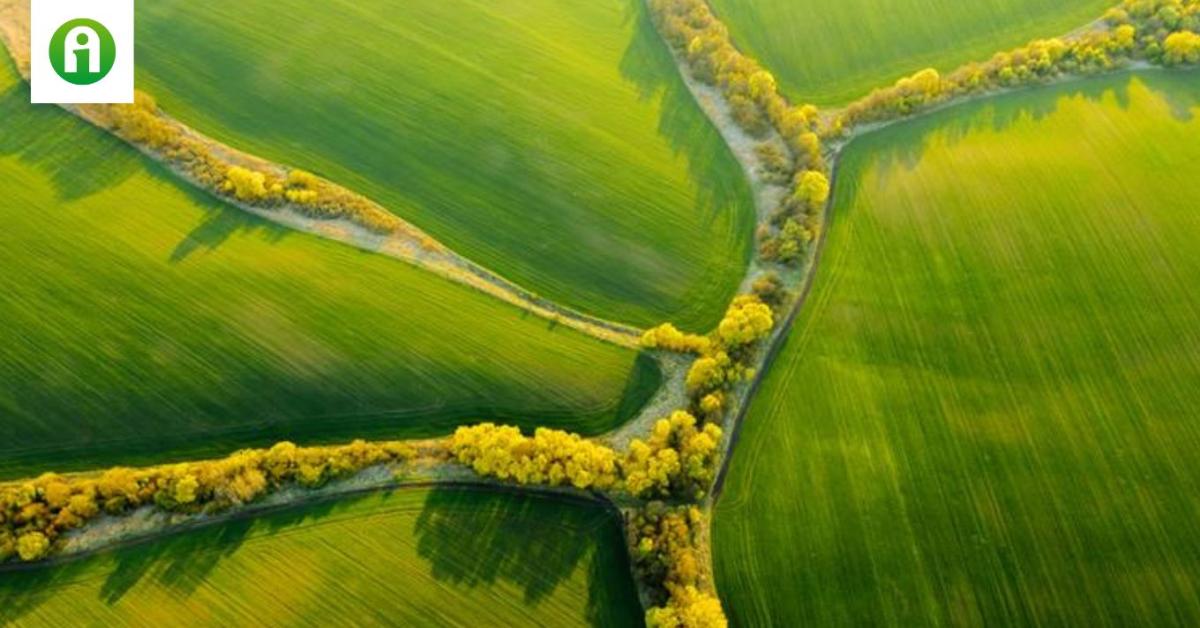 Az év mezőgazdasági robotja, díjnyertes drón, traktorpiaci adatok Az év mezőgazdasági robotja, díjnyertes drón, traktorpiaci adatok