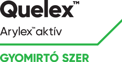 corteva
