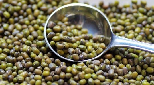 Nem puffaszt, gyorsan kész van, és még finom is – mi az? A mungóbab! Nem puffaszt, gyorsan kész van, és még finom is – mi az? A mungóbab!