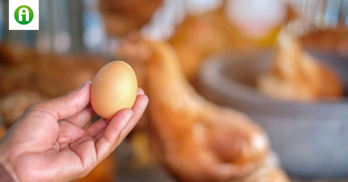 A szív egészségéért: ebből az ételből heti egy is csodát tehet