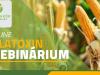 Online aflatoxin webinárium