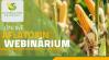 Online aflatoxin webinárium