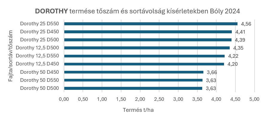 DOROTHY termése tőszám és sortávolság kísérletekben Bóly 2024