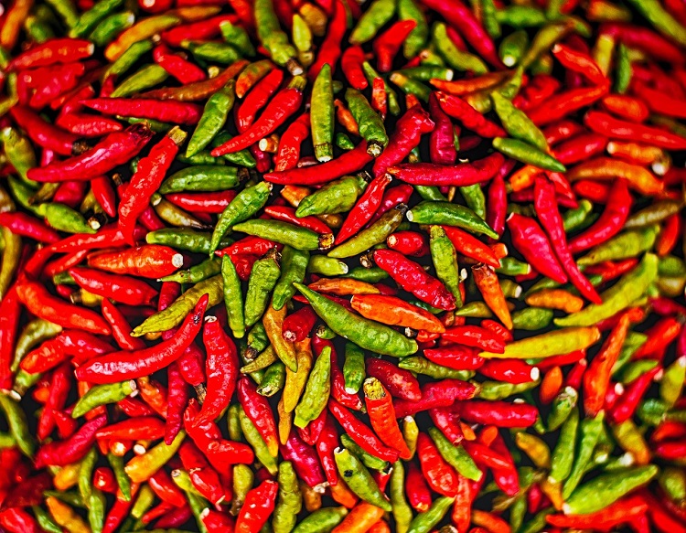 chili sok paprika