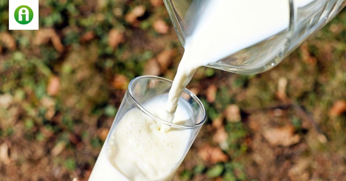Drágul a tej: újabb áremelkedés a hazai tejpiacon