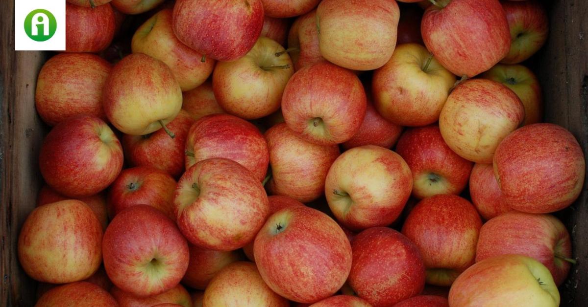 Ezeket kell beleírni a felvásárlási szerződésbe