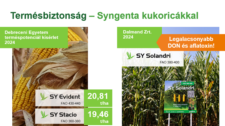 syngenta