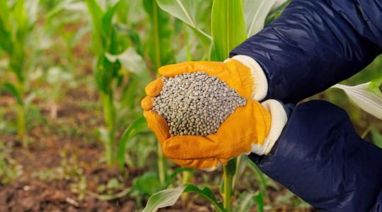 Egy kockázattal kevesebb – Megújult a közkedvelt starter műtrágya, a Corn Starter Pro 