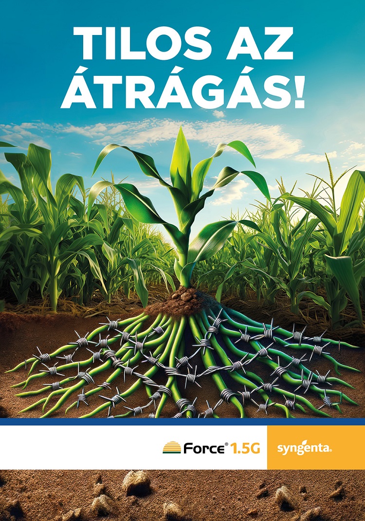 syngenta force