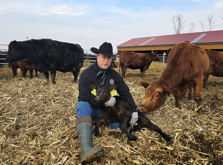 Dr. Kun Péter – fotó: Kun Ranch Genetics