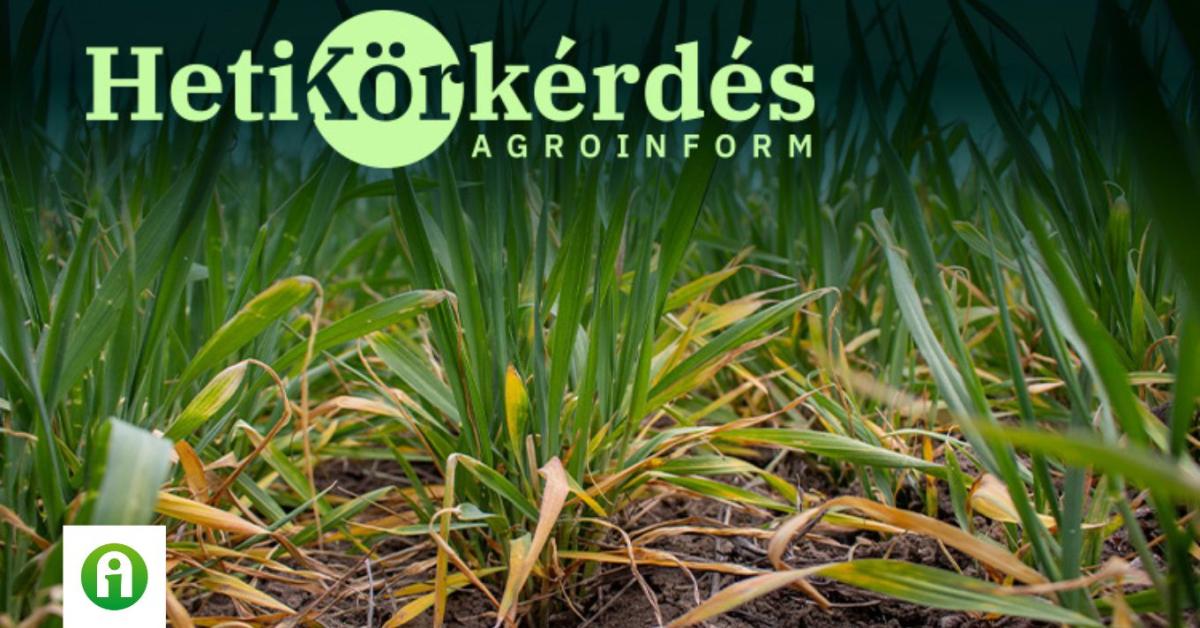 A tavaszi stresszkezelés hozadéka konkrét számokkal? – Heti Körkérdés