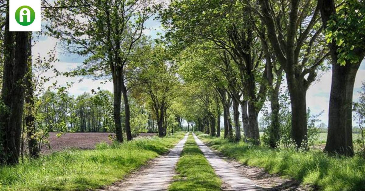 30 napos időjárás-előrejelzés: Márciusban újra lecsaphat ránk a tél?
