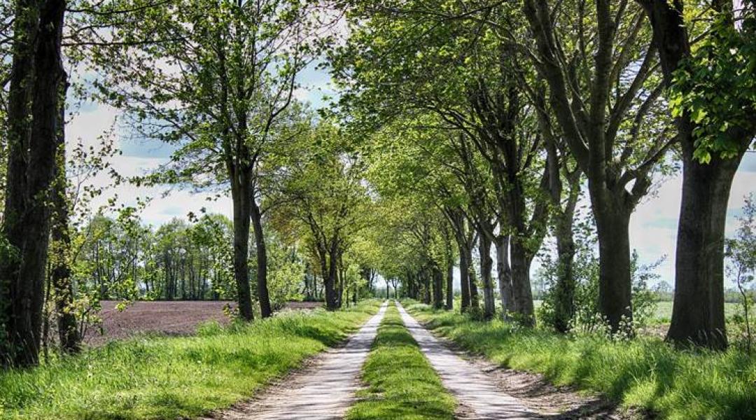 30 napos időjárás-előrejelzés: Márciusban újra lecsaphat ránk a tél?