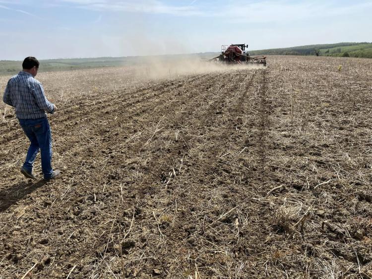 direktvetés no-till rendszerben