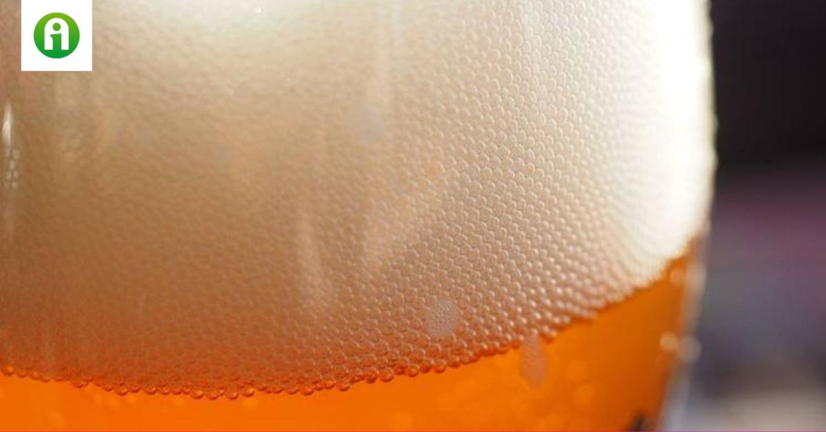 Megdöbbentő eredmények: már ennyi alkohol is évekkel öregíti az agyat!