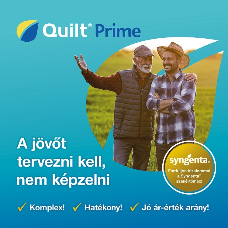 QuiltPrime