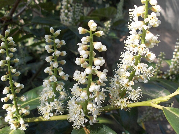 babérmeggy babérmeggy