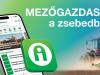 Az Év Honlapja díjat nyert az Agroinform mobil applikáció!