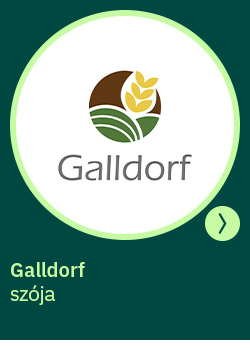 galldorf