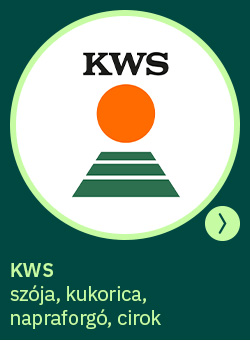 kws