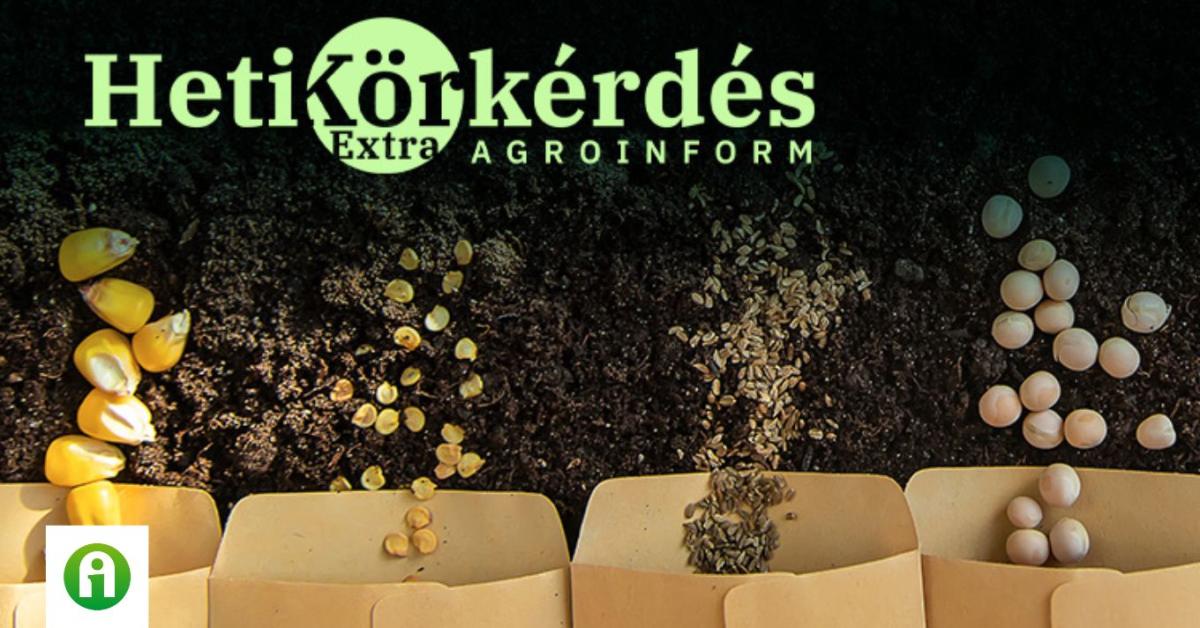 Elérhető készletek a tavaszi vetőmagokból – Heti Körkérdés Extra