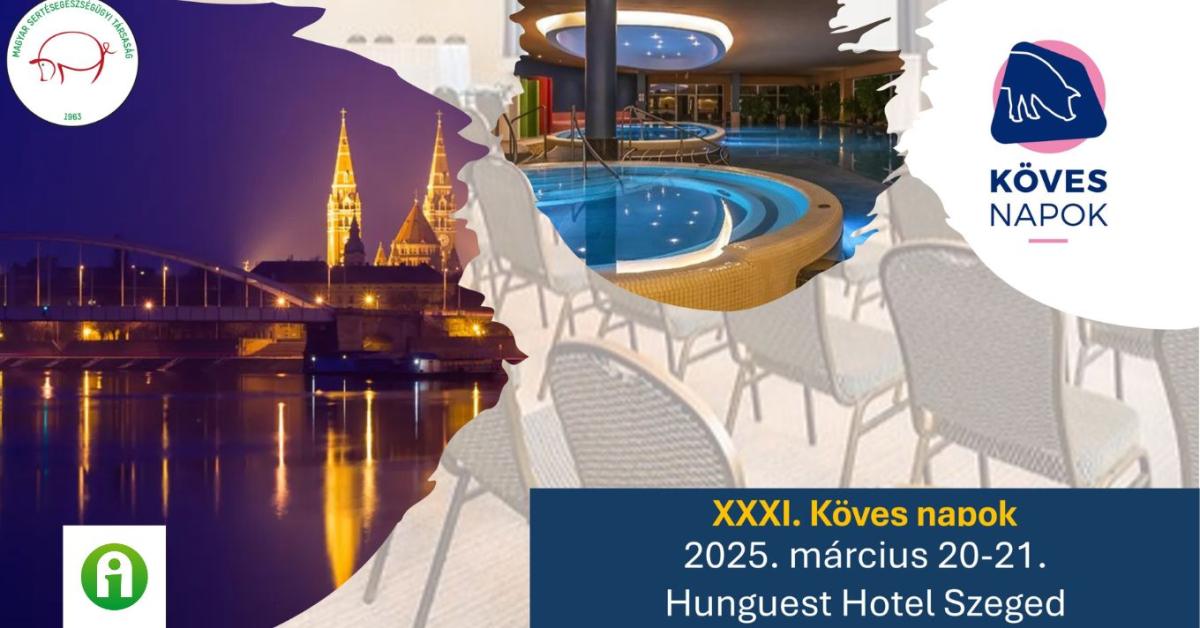 Köves Napok 2025 Köves Napok 2025
