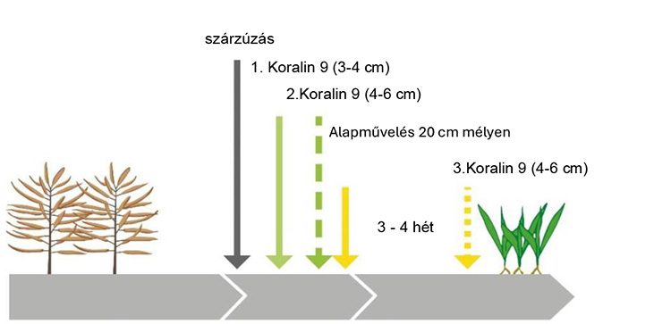 A Koralin 9 beillesztése a művelési rendszerekbe