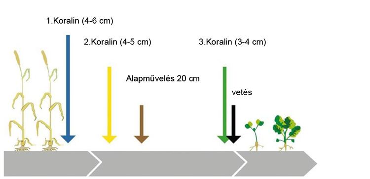 A Koralin 9 beillesztése a művelési rendszerekbe