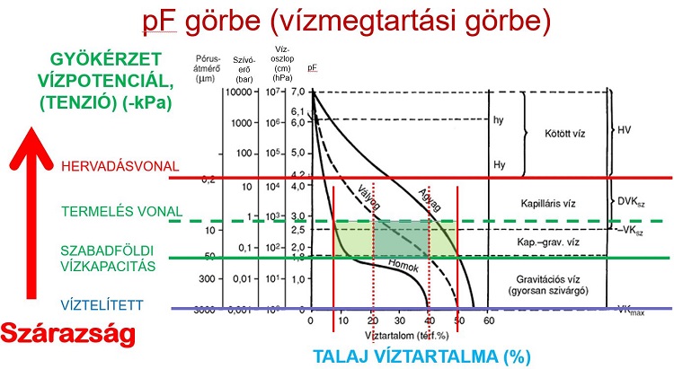 pF görbe