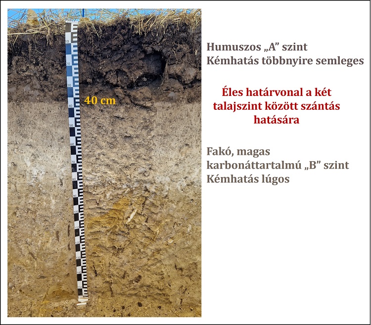 5. ábra. Talajpusztulás kémiai következményei