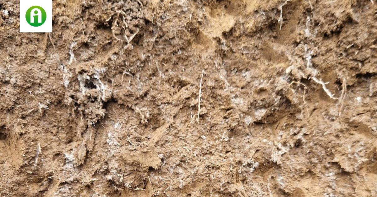 Termőhelyi kategóriák a gyakorlatban: Középkötött csernozjom talajok