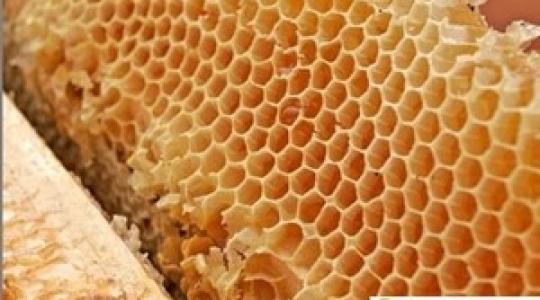 Feljelentés után országos mézellenőrzés