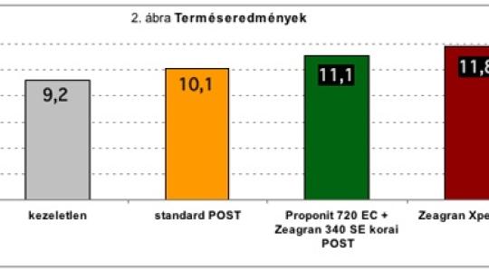 Rendkívüli időjárás mellett is bevált kukorica gyomirtási megoldások