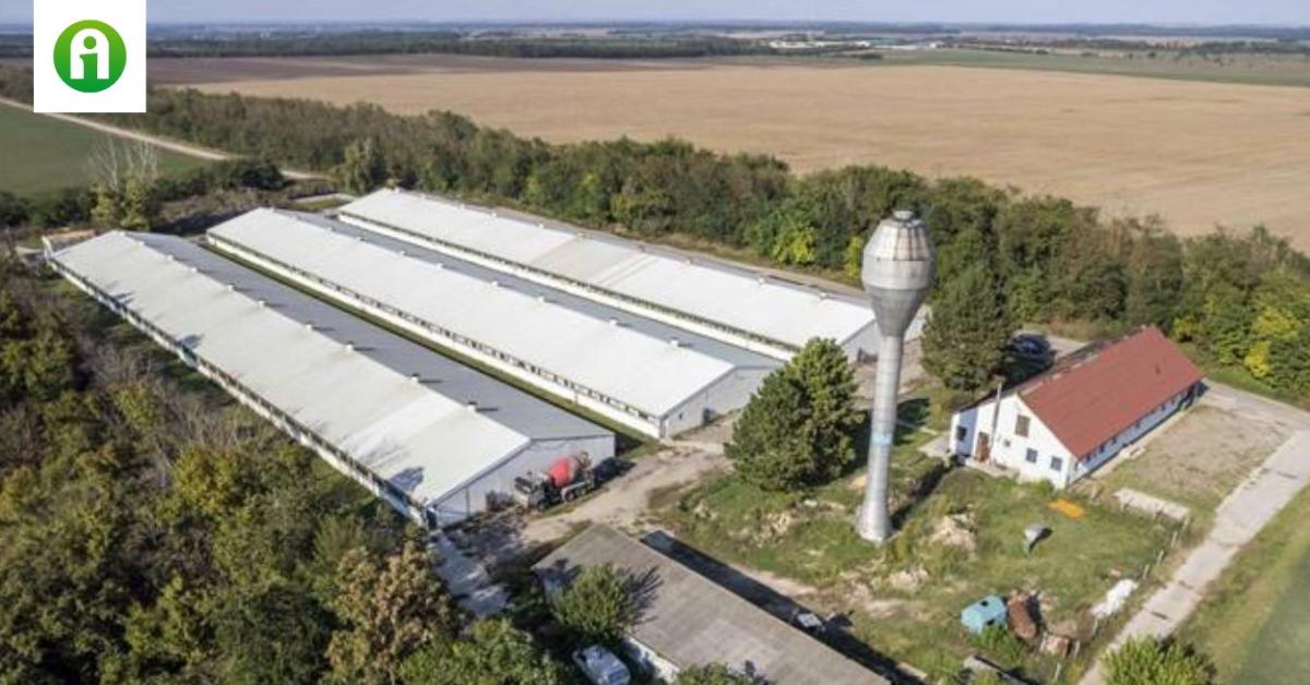Elképesztő: ezek a legdrágább mezőgazdasági ingatlanok az Agroinform Piacterén Elképesztő: ezek a legdrágább mezőgazdasági ingatlanok az Agroinform Piacterén