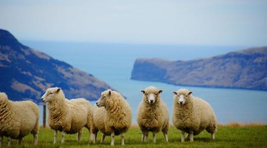 Élet agrártámogatások nélkül? Igen, létezik!