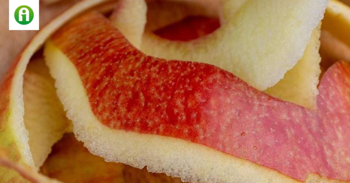 Ezért ne dobd ki az almahéjat: igazi vitaminbomba a kertednek