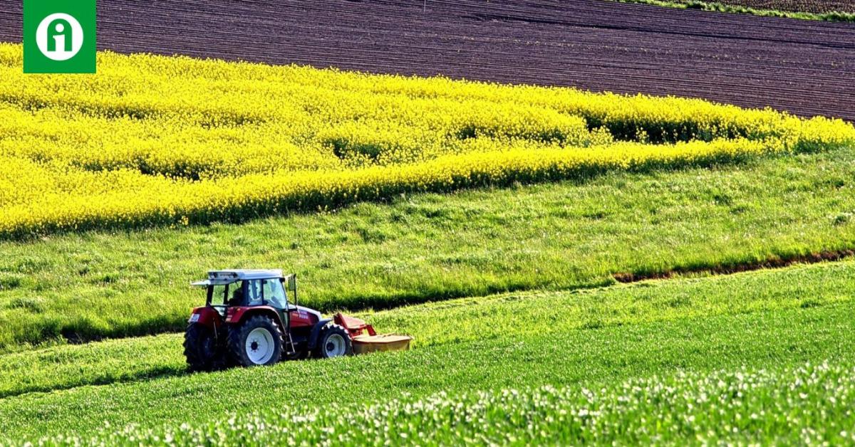 Időjárás: Indulhat a munka a földeken! Időjárás: Indulhat a munka a földeken!