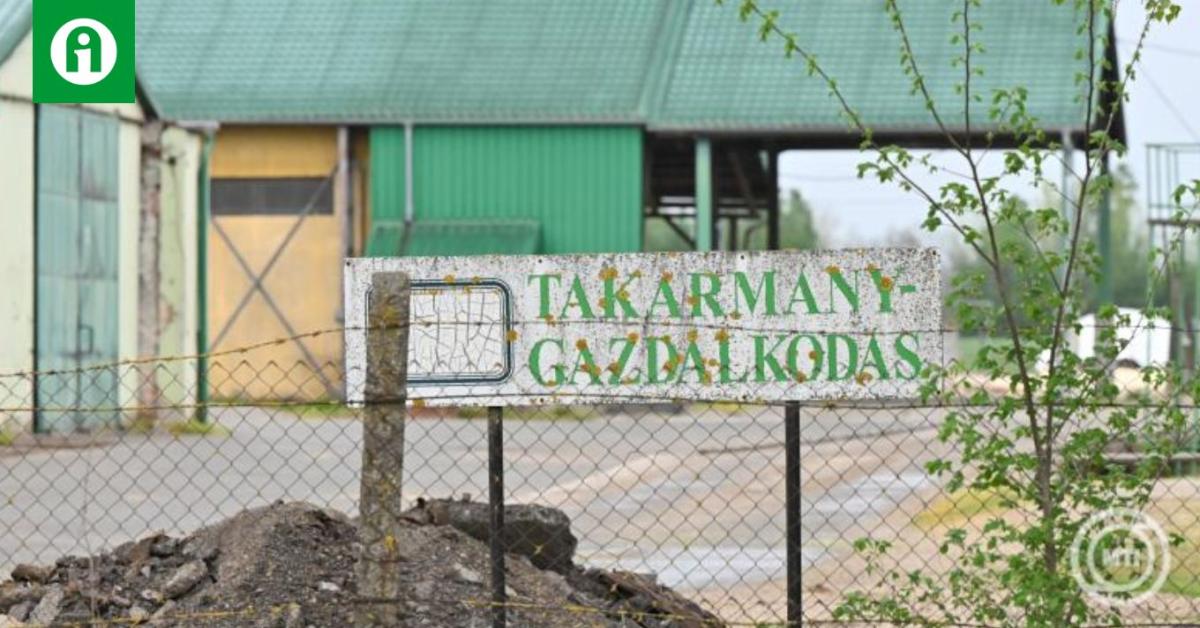 Rábapordány: estére minden állatot leölnek +VIDEÓ Rábapordány: estére minden állatot leölnek +VIDEÓ