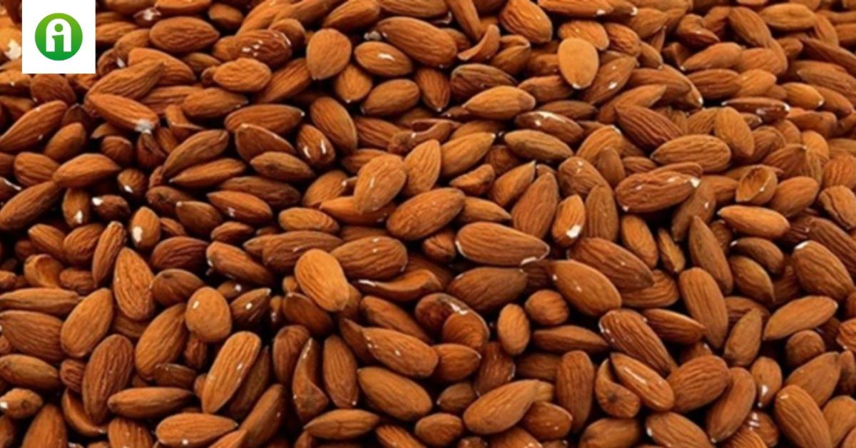 Tudtad, hogy napi egy adag mandula javíthatja a szív egészségét, és segíthet a fogyásban?