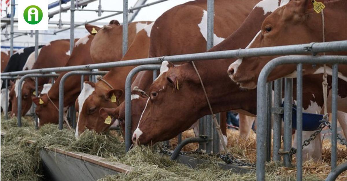 RSZKF: A járvány nem terjedt tovább, de nem dőlhetünk hátra