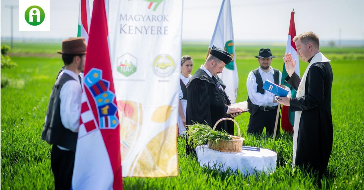 Búzaszenteléssel vette kezdetét az idei Magyarok Kenyere program Búzaszenteléssel vette kezdetét az idei Magyarok Kenyere program
