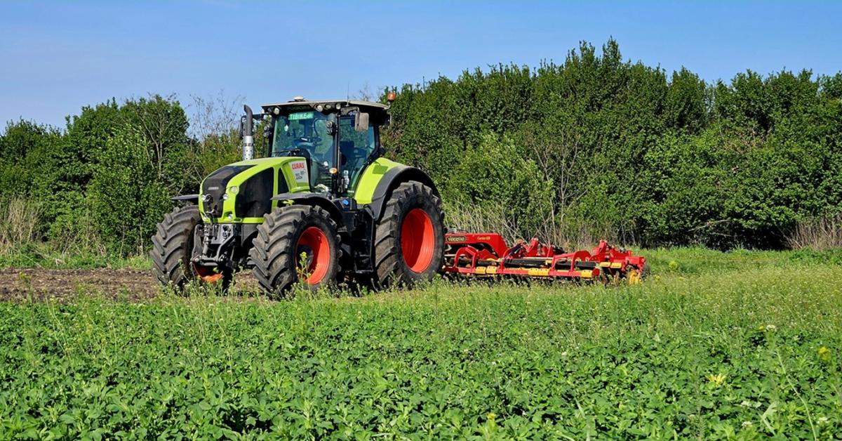 Ezt nem akartad hallani: fagypont köré hűl a levegő
