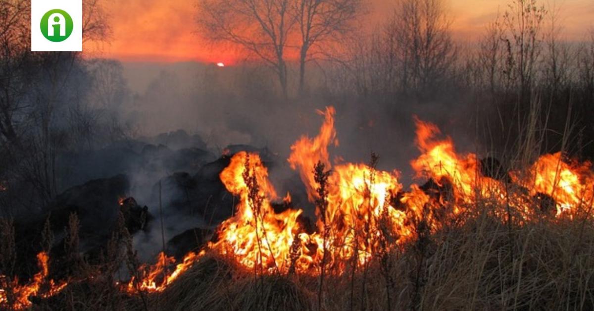 Pusztító tüzek miatt váltott földművelésre az emberiség