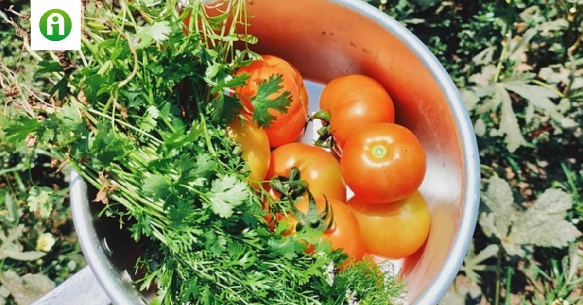 Frissült az Ökológiai gazdálkodás támogatásának felhívása